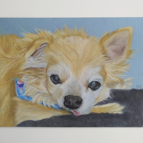 Dog Portrait